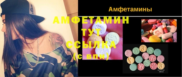 крисы Алексин