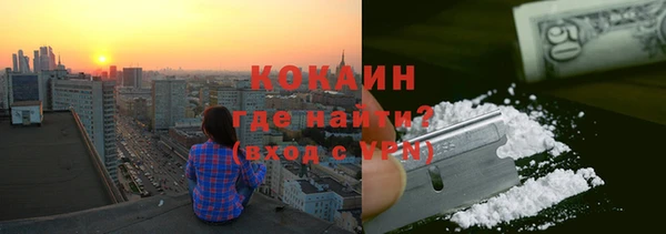 крисы Алексин