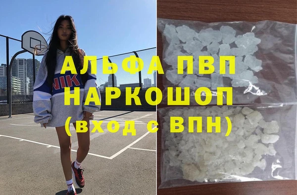 крисы Алексин
