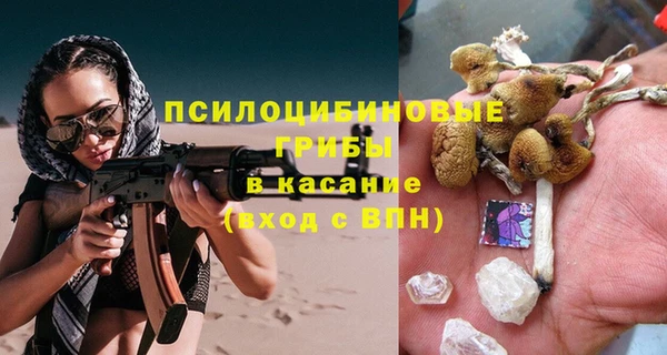 крисы Алексин