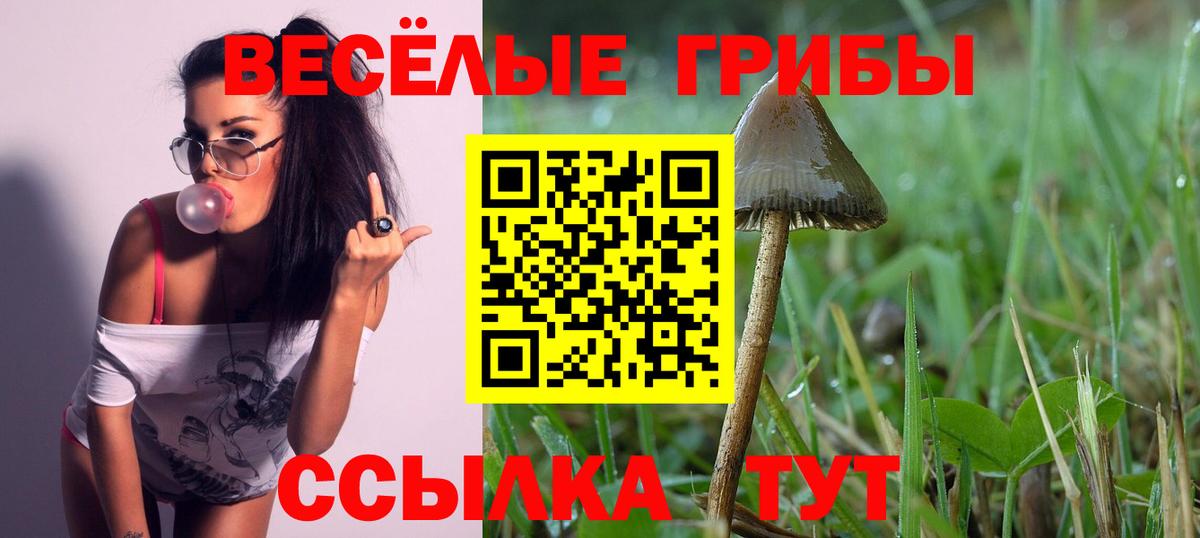 Галлюциногенные грибы Cubensis Удомля