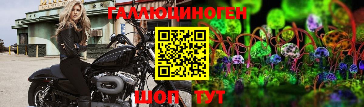 Удомля  Псилоцибиновые грибы Magic Shrooms  Вход с VPN 