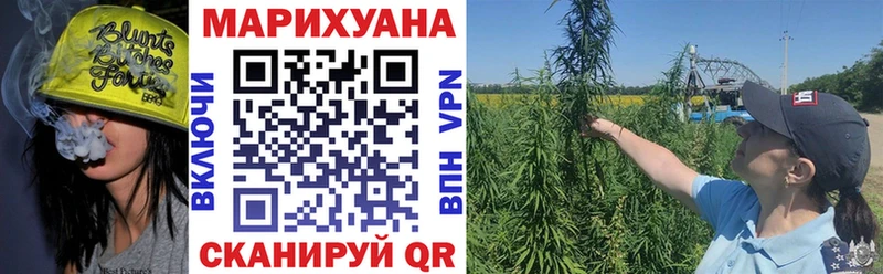 Бошки Шишки ГИДРОПОН  купить наркотики сайты  Удомля 