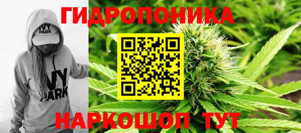 Бошки марихуана ГИДРОПОН Удомля